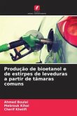 Produção de bioetanol e de estirpes de leveduras a partir de tâmaras comuns