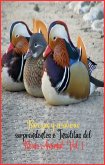Rarezas y criaturas sorprendentes e Insólitas del Reino Animal. Vol. 1 (eBook, ePUB) Rarezas y criaturas sorprendentes e Insólitas del Reino Animal. Vol. 1 (eBook, ePUB)