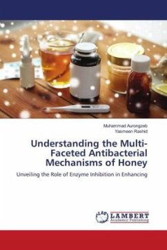 Understanding the Multi-Faceted Antibacterial Mechanisms of Honey