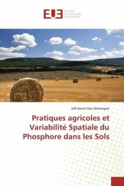 Pratiques agricoles et Variabilité Spatiale du Phosphore dans les Sols - Nze Memiaghe, Jeff Daniel