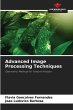 Advanced Image Processing Techniques - Bild 1