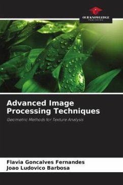 Advanced Image Processing Techniques - Fernandes, Flávia Gonçalves;Barbosa, João Ludovico