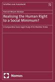 Realising the Human Right to a Social Minimum? (eBook, PDF) Realising the Human Right to a Social Minimum? (eBook, PDF)