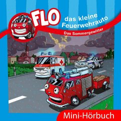 Das Sommergewitter (MP3-Download) - Mörken, Christian