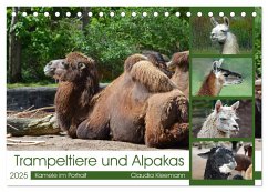 Trampeltiere und Alpakas (Tischkalender 2025 DIN A5 quer), CALVENDO Monatskalender - Calvendo;Kleemann, Claudia