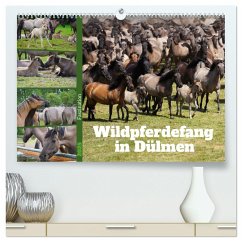 Faszination Wildpferdefang in Dülmen (hochwertiger Premium Wandkalender 2025 DIN A2 quer), Kunstdruck in Hochglanz - Calvendo;Paul - Babetts Bildergalerie, Babett