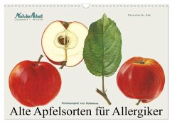 Alte Apfelsorten für Allergiker (Wandkalender 2025 DIN A3 quer), CALVENDO Monatskalender