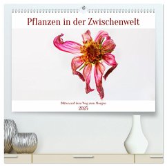 Pflanzen in der Zwischenwelt (hochwertiger Premium Wandkalender 2025 DIN A2 quer), Kunstdruck in Hochglanz