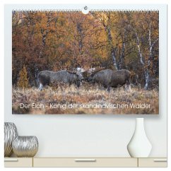 Der Elch - König der skandinavischen Wälder (hochwertiger Premium Wandkalender 2025 DIN A2 quer), Kunstdruck in Hochglanz