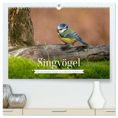 SINGVÖGEL - Die prächtigen Sänger in schönem Ambiente (hochwertiger Premium Wandkalender 2025 DIN A2 quer), Kunstdruck in Hochglanz - Calvendo;Wünsche, Arne