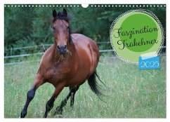 Faszination Trakehner (Wandkalender 2025 DIN A3 quer), CALVENDO Monatskalender - Calvendo;Paul - Babetts Bildergalerie, Babett