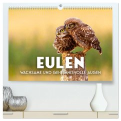 Eulen - Wachsame und geheimnisvolle Augen (hochwertiger Premium Wandkalender 2025 DIN A2 quer), Kunstdruck in Hochglanz