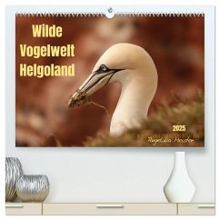 Wilde Vogelwelt Helgoland (hochwertiger Premium Wandkalender 2025 DIN A2 quer), Kunstdruck in Hochglanz