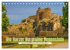 Die Harzer Burgruine Regenstein ¿ Sowie die Sandhöhlen im Heers bei Blankenburg (Tischkalender 2025 DIN A5 quer), CALVENDO Monatskalender