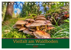 Vielfalt am Waldboden (Tischkalender 2025 DIN A5 quer), CALVENDO Monatskalender