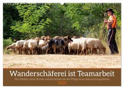 Wanderschäferei ist Teamarbeit (Wandkalender 2025 DIN A2 quer), CALVENDO Monatskalender