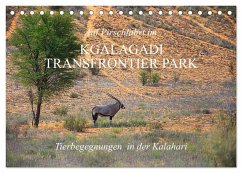 Auf Pirschfahrt im Kgalagadi Transfrontier Park (Tischkalender 2025 DIN A5 quer), CALVENDO Monatskalender