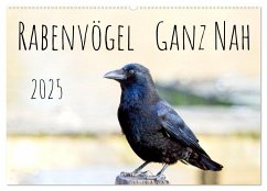 Rabenvögel - ganz nah (Wandkalender 2025 DIN A2 quer), CALVENDO Monatskalender