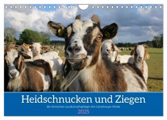 Heidschnucken und Ziegen die tierischen Landschaftspfleger der Lüneburger Heide (Wandkalender 2025 DIN A4 quer), CALVENDO Monatskalender - Calvendo;Lorenzen-Müller, Sandra