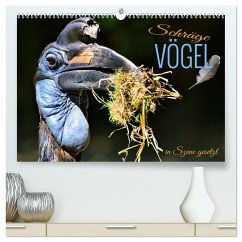 Schräge Vögel in Szene gesetzt (hochwertiger Premium Wandkalender 2025 DIN A2 quer), Kunstdruck in Hochglanz - Calvendo;Utz, Renate