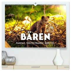 Bären - Pandas, Grizzlybären und Co. (hochwertiger Premium Wandkalender 2025 DIN A2 quer), Kunstdruck in Hochglanz - Calvendo;SF