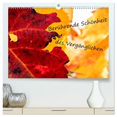Berührende Schönheit des Vergänglichen (hochwertiger Premium Wandkalender 2025 DIN A2 quer), Kunstdruck in Hochglanz - Calvendo;Scheurer, Monika