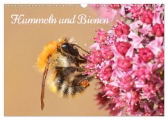 Hummeln und Bienen (Wandkalender 2025 DIN A3 quer), CALVENDO Monatskalender