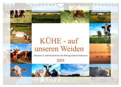 Kühe - auf unseren Weiden (Wandkalender 2025 DIN A4 quer), CALVENDO Monatskalender - Calvendo;Riedel, Tanja