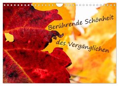 Berührende Schönheit des Vergänglichen (Wandkalender 2025 DIN A4 quer), CALVENDO Monatskalender - Calvendo;Scheurer, Monika