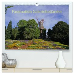 Faszination Galerieholländer (hochwertiger Premium Wandkalender 2025 DIN A2 quer), Kunstdruck in Hochglanz