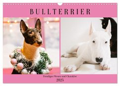 Bullterrier. Freudiges Wesen und Charakter (Wandkalender 2025 DIN A3 quer), CALVENDO Monatskalender