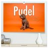 Pudel - Die flauschigen Lockenköpfe.... - Bild 1