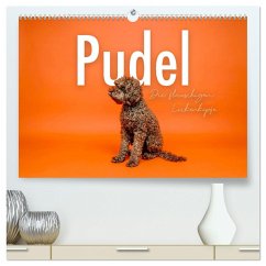 Pudel - Die flauschigen Lockenköpfe. (hochwertiger Premium Wandkalender 2025 DIN A2 quer), Kunstdruck in Hochglanz - Calvendo;SF