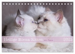 Heilige Birma Kitten mit Planer (Tischkalender 2025 DIN A5 quer), CALVENDO Monatskalender - Calvendo;Thoms, Michaela
