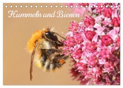 Hummeln und Bienen (Tischkalender 2025 DIN A5 quer), CALVENDO Monatskalender