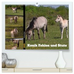 Mutterliebe - Konik Fohlen und Stute (hochwertiger Premium Wandkalender 2025 DIN A2 quer), Kunstdruck in Hochglanz - Calvendo;Paul - Babetts Bildergalerie, Babett