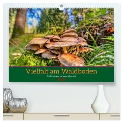 Vielfalt am Waldboden (hochwertiger Premium Wandkalender 2025 DIN A2 quer), Kunstdruck in Hochglanz - Calvendo;Irmer, Torsten