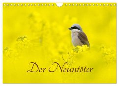 Der Neuntöter (Wandkalender 2025 DIN A4 quer), CALVENDO Monatskalender