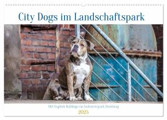 City Dogs im Landschaftspark (Wandkalender 2025 DIN A2 quer), CALVENDO Monatskalender