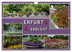Erfurt erblüht (Wandkalender 2025 DIN A4 quer), CALVENDO Monatskalender