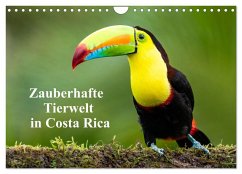 Zauberhaft Tierwelt in Costa Rica (Wandkalender 2025 DIN A4 quer), CALVENDO Monatskalender - Calvendo;Rusch, Winfried