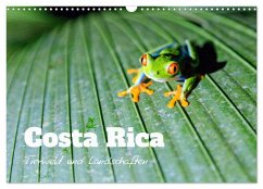 Costa Rica - Tierwelt und Landschaften (Wandkalender 2025 DIN A3 quer), CALVENDO Monatskalender - Calvendo;Colombo, Matteo