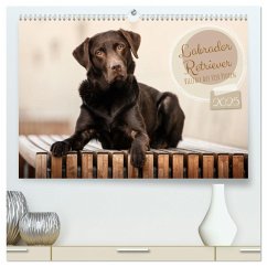 Labrador Retriever - Vielfalt auf Vier Pfoten (hochwertiger Premium Wandkalender 2025 DIN A2 quer), Kunstdruck in Hochglanz