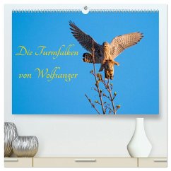 Die Turmfalken von Wolfsanger (hochwertiger Premium Wandkalender 2025 DIN A2 quer), Kunstdruck in Hochglanz - Calvendo;Martin (GDT), Wilfried