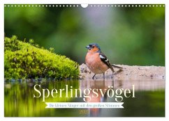 Sperlingsvögel - Die kleinen Sänger mit den großen Stimmen (Wandkalender 2025 DIN A3 quer), CALVENDO Monatskalender