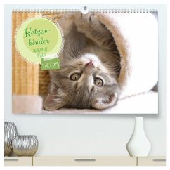 Katzenkinder - zauberhafte Wesen (hochwertiger Premium Wandkalender 2025 DIN A2 quer), Kunstdruck in Hochglanz