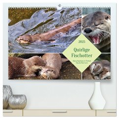 Quirlige Fischotter (hochwertiger Premium Wandkalender 2025 DIN A2 quer), Kunstdruck in Hochglanz