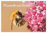 Hummeln und Bienen (Wandkalender 2025... - Bild 1