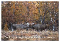 Der Elch - König der skandinavischen Wälder (Tischkalender 2025 DIN A5 quer), CALVENDO Monatskalender