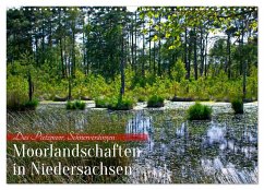 Niedersachsens Moorlandschaften - Das Pietzmoor, Schneverdingen (Wandkalender 2025 DIN A3 quer), CALVENDO Monatskalender
